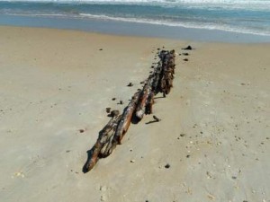 Hurricane Sandy Unearths Shipwreck