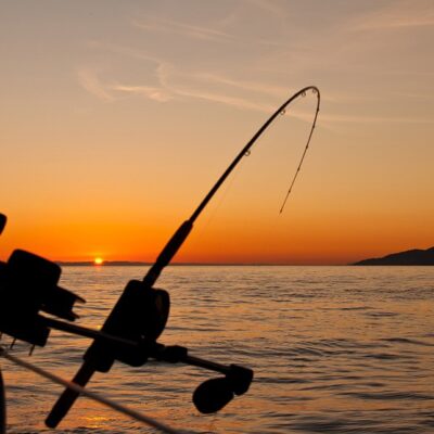 Capt. Austin’s Fishing Adventure
